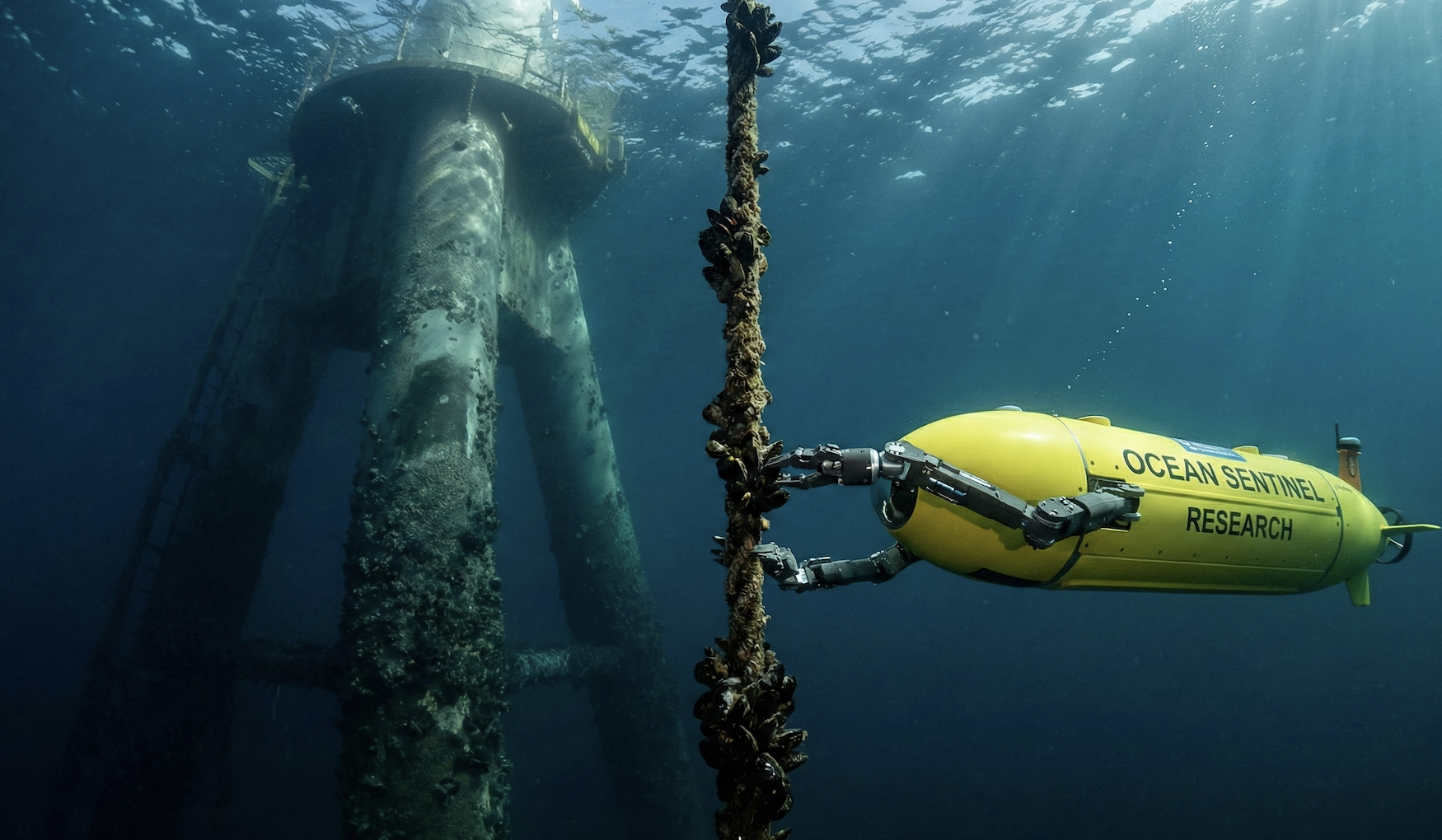 Robots 'Campesinos' del Mar: Automatización y Seguridad en Zonas Expuestas